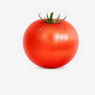 WWW,se991·COM网站APP
